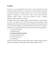 Reikalavimai apskaitinei informacijai ir jos formavimas valdymo sistemoje 3 puslapis