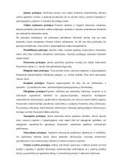 Reikalavimai apskaitinei informacijai ir jos formavimas valdymo sistemoje 6 puslapis