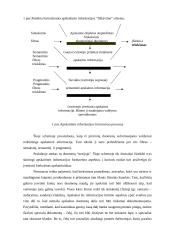Reikalavimai apskaitinei informacijai ir jos formavimas valdymo sistemoje 8 puslapis
