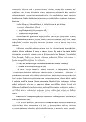 Reikalingi pokyčiai AB "Lietuvos geležinkeliai" 12 puslapis