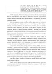 Reikalingi pokyčiai AB "Lietuvos geležinkeliai" 14 puslapis