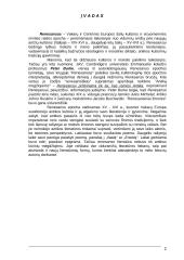 Renesansiškoji meno samprata lietuvių literatūroje 2 puslapis