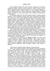 Renesansiškoji meno samprata lietuvių literatūroje 3 puslapis