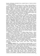 Renesansiškoji meno samprata lietuvių literatūroje 6 puslapis