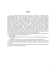 Rinkimų organizavimas naudojant informacines technologijas 3 puslapis