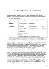 Rinkimų organizavimas naudojant informacines technologijas 4 puslapis