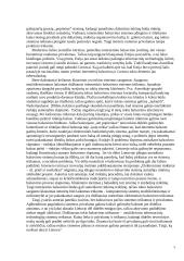 Rinkimų organizavimas naudojant informacines technologijas 6 puslapis