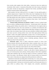 Rinkos ekonomika ir jos funkcijos 12 puslapis