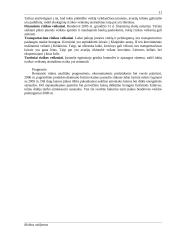 Rizikos valdymas: AB "Lifosa" 11 puslapis