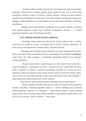 Romėnų sutarčių rūšys 12 puslapis