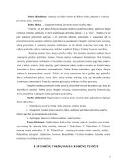 Romėnų sutarčių rūšys 3 puslapis