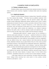 Romėnų sutarčių rūšys 6 puslapis