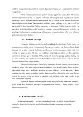 Romėnų sutarčių rūšys 10 puslapis