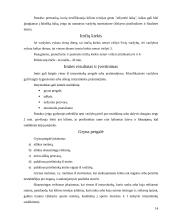 Savigynos imtynės 14 puslapis