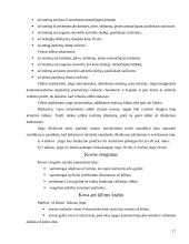 Savigynos imtynės 17 puslapis