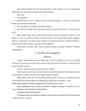 Savigynos imtynės 20 puslapis