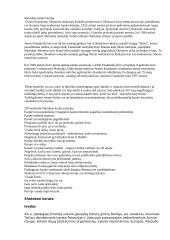 Shotokan karatė istorija