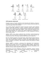 Shotokan karatė istorija 8 puslapis
