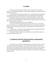Sistemos išorinio ir vidinio funkcionavimo matematinis aprašymas ir to funkcionavimo sisteminė analizė 2 puslapis