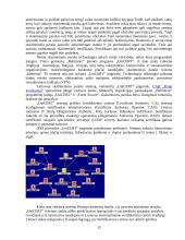 Skaitmeninis parašas rašytiniuose sandoriuose 12 puslapis