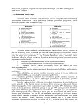 Skaitmeninis parašas rašytiniuose sandoriuose 13 puslapis