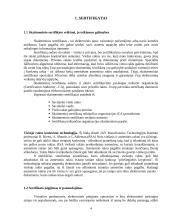 Skaitmeninis parašas rašytiniuose sandoriuose 4 puslapis