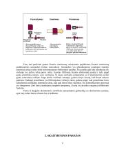 Skaitmeninis parašas rašytiniuose sandoriuose 6 puslapis