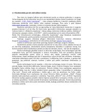 Skaitmeninis parašas rašytiniuose sandoriuose 7 puslapis