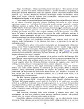 Skaitmeninis parašas rašytiniuose sandoriuose 10 puslapis