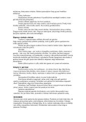 Skandinavijos šalių etiketo ypatumai 2 puslapis