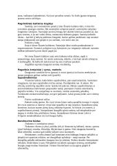 Skandinavijos šalių etiketo ypatumai 7 puslapis