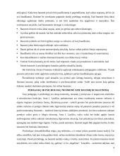 Skatinimų ir bausmių problema šių dienų teorijoje ir praktikoje 3 puslapis