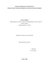 Specialiųjų atašė institutas