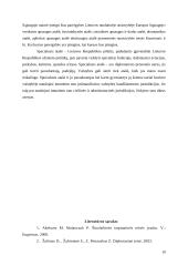 Specialiųjų atašė institutas 10 puslapis