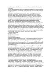 Sportas. Fizinis pasirengimas 7 puslapis