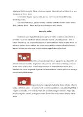 Stalo etiketas 9 puslapis