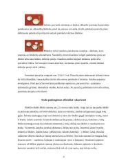 Stalo etiketas 10 puslapis