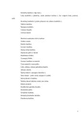 Stalo serviravimas, stalo įrankiai ir indai 6 puslapis