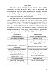 Strategijos planavimo reikšmė 14 puslapis