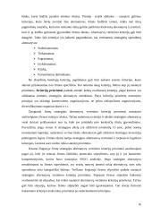 Strategijos planavimo reikšmė 16 puslapis