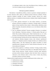 Strategijos planavimo reikšmė 18 puslapis