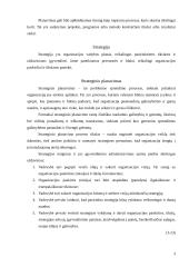 Strategijos planavimo reikšmė 3 puslapis