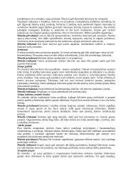 Suaugusiųjų švietimo institucijos ir grupiniai mokymosi metodai 10 puslapis