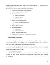 Sveikatą stiprinantis fizinis aktyvumas 10 puslapis