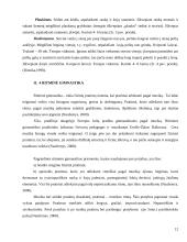 Sveikatą stiprinantis fizinis aktyvumas 11 puslapis