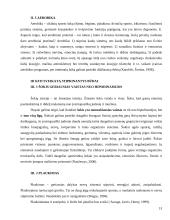 Sveikatą stiprinantis fizinis aktyvumas 12 puslapis