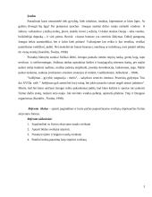 Sveikatą stiprinantis fizinis aktyvumas 2 puslapis