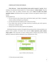 Sveikatą stiprinantis fizinis aktyvumas 3 puslapis