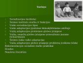 Šeimos ir asmenybės adaptacija 2 puslapis