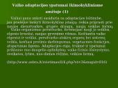 Šeimos ir asmenybės adaptacija 13 puslapis